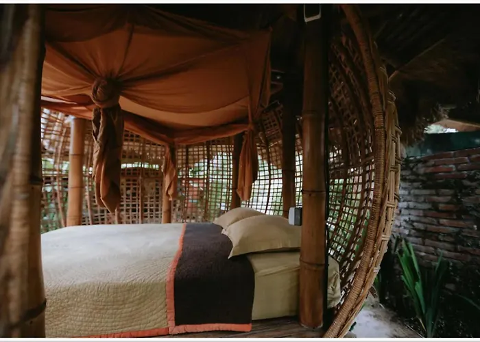 Hotel Firefly Eco 3*
