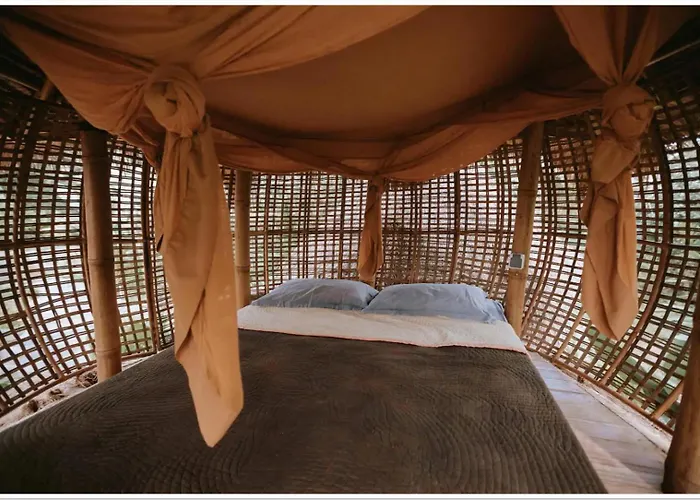 Firefly Eco Ubud (Bali)