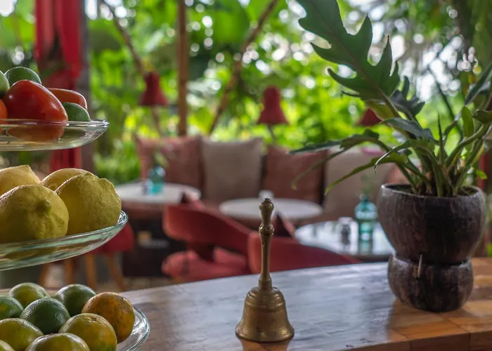Firefly Eco Hotel Ubud (Bali)