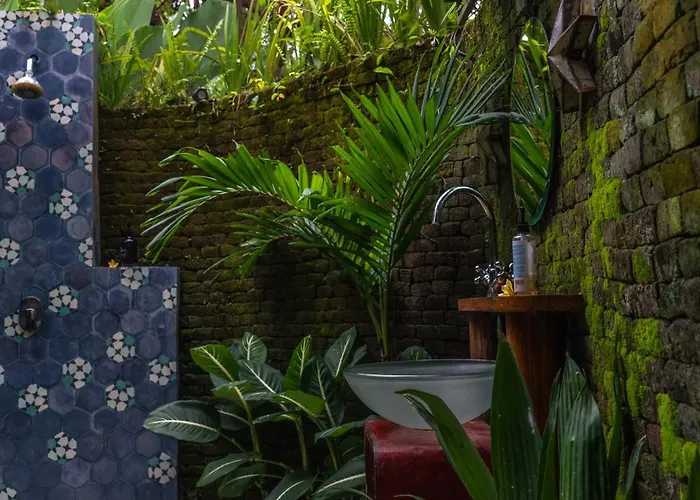Hotel Firefly Eco