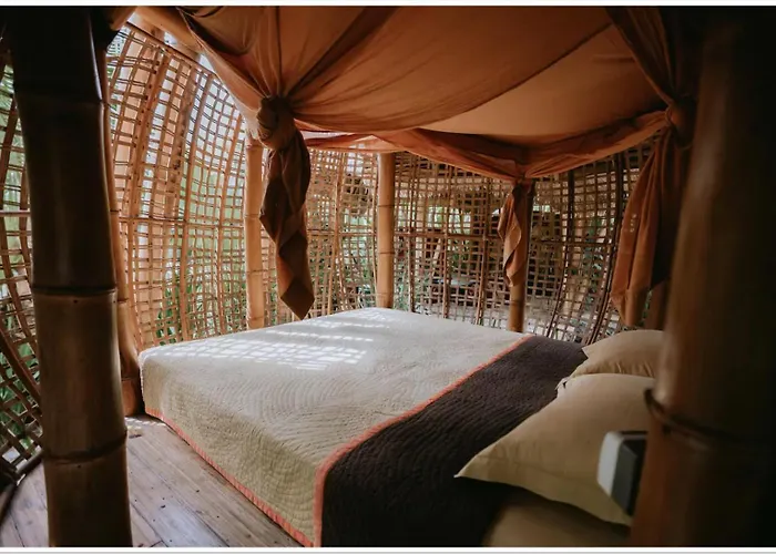 Hotel Firefly Eco 3*