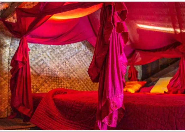 Hotel Firefly Eco 3*