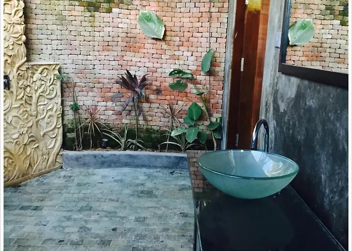 Hotel Firefly Eco 3*