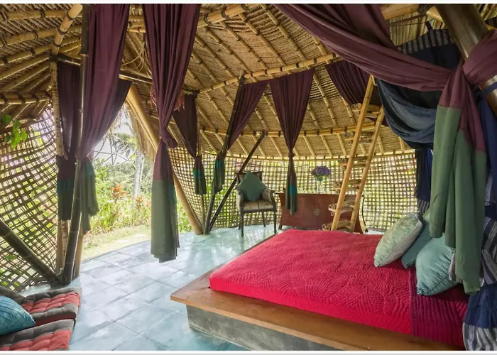 Hotel Firefly Eco 3*