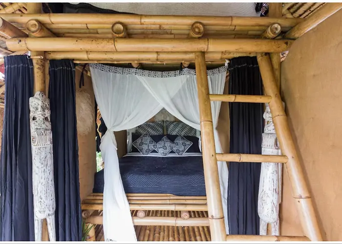 Firefly Eco