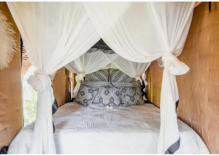 Firefly Eco 3* Ubud (Bali)